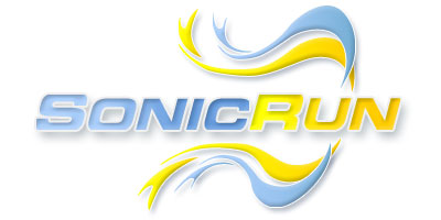 Sonic Run: Internet Search Engine