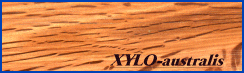 XYLO-australis®web site