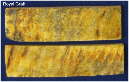 Royal-Craft/Rams-horn-2