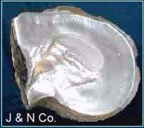 Beijing J & N Pearl Shell Products Co., Ltd.